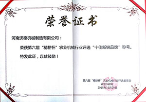 十佳新锐品牌荣誉证书