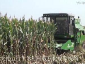 4YL-5玉米联合收获机